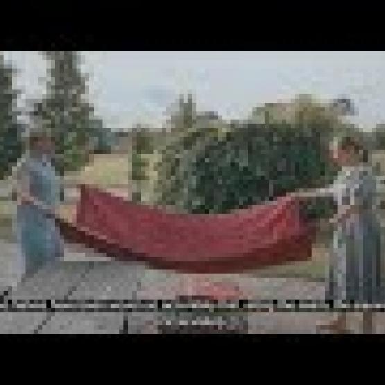 Apmācību video 